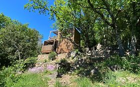 Tiny House en lisière de forêt
